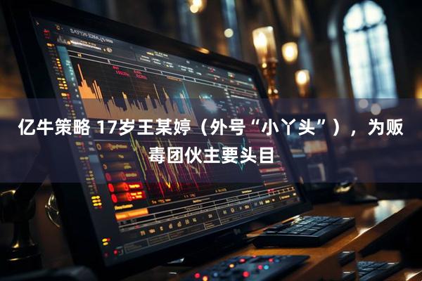 亿牛策略 17岁王某婷（外号“小丫头”），为贩毒团伙主要头目