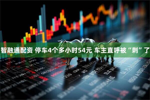 智融通配资 停车4个多小时54元 车主直呼被“刺”了