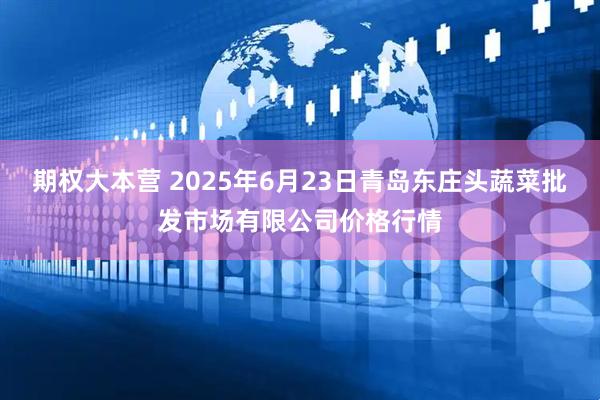 期权大本营 2025年6月23日青岛东庄头蔬菜批发市场有限公司价格行情