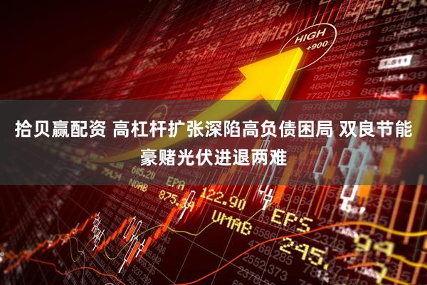 拾贝赢配资 高杠杆扩张深陷高负债困局 双良节能豪赌光伏进退两难