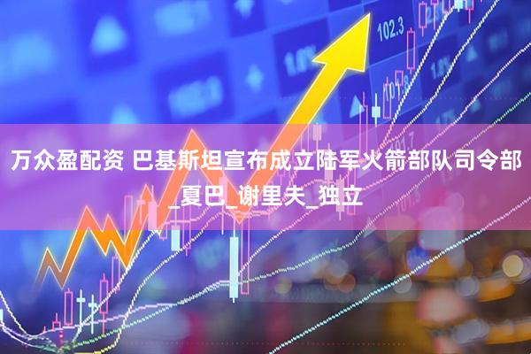 万众盈配资 巴基斯坦宣布成立陆军火箭部队司令部_夏巴_谢里夫_独立