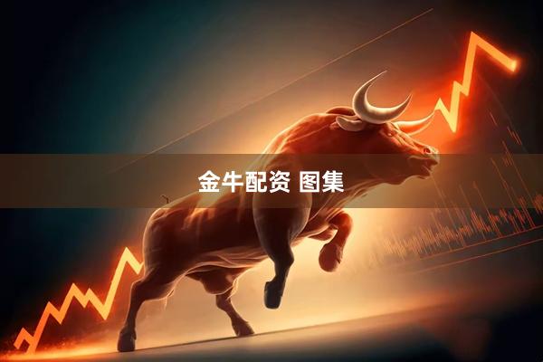 金牛配资 图集