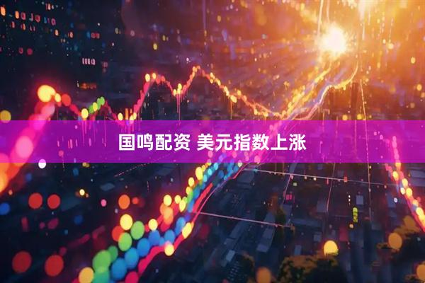 国鸣配资 美元指数上涨
