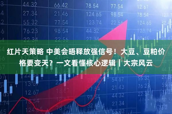 红片天策略 中美会晤释放强信号！大豆、豆粕价格要变天？一文看懂核心逻辑｜大宗风云