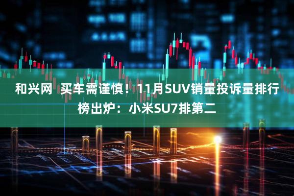 和兴网  买车需谨慎！11月SUV销量投诉量排行榜出炉：小米SU7排第二